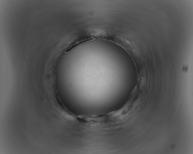X0000094901345200712131421