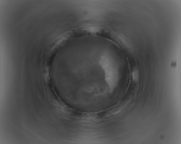 X0000094901347200712131421
