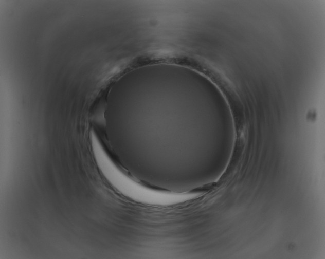 X0000094901348200712131421