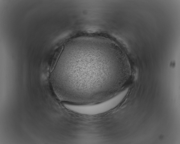 X0000094901349200712131421