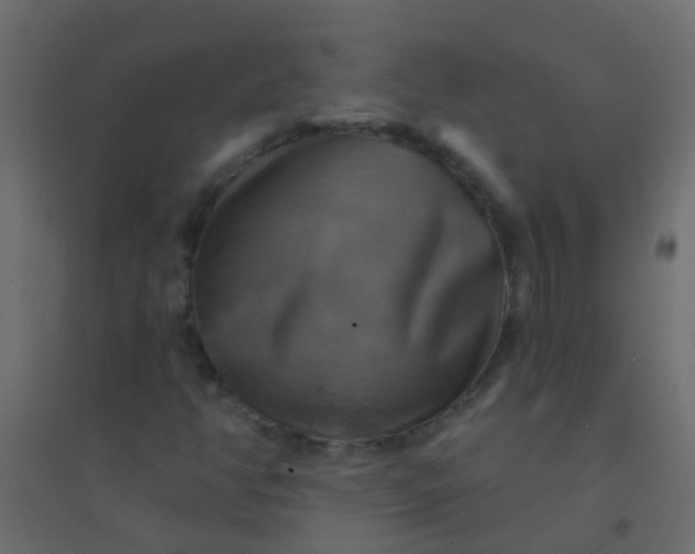 X0000094901350200712131421
