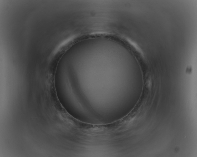 X0000094901351200712131421