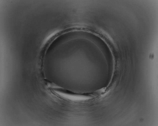 X0000094901352200712131421