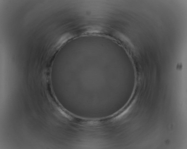 X0000094901353200712131421