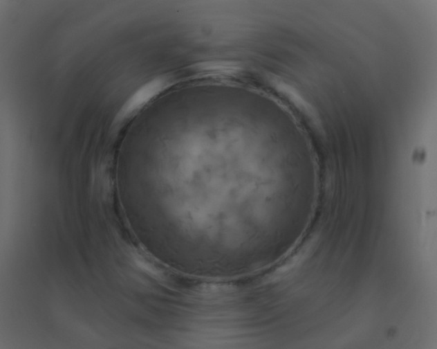 X0000094901354200712131421
