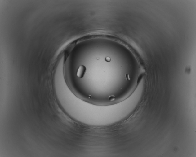 X0000094901356200712131421