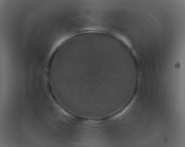 X0000094901357200712131421