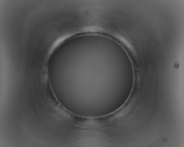 X0000094901358200712131421