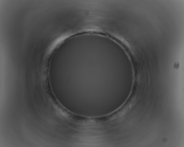 X0000094901359200712131421