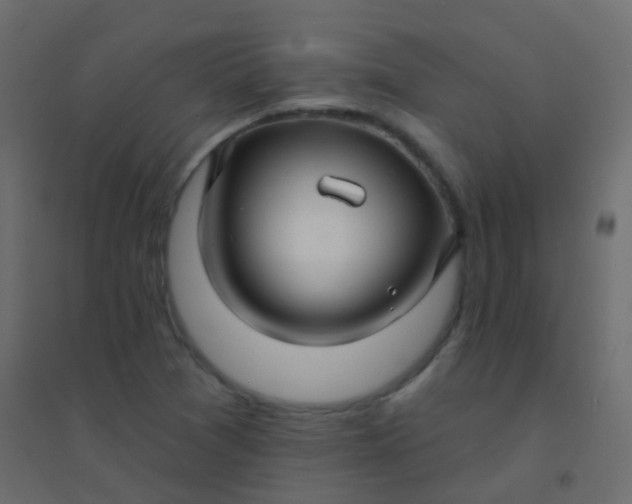 X0000094901361200712131421