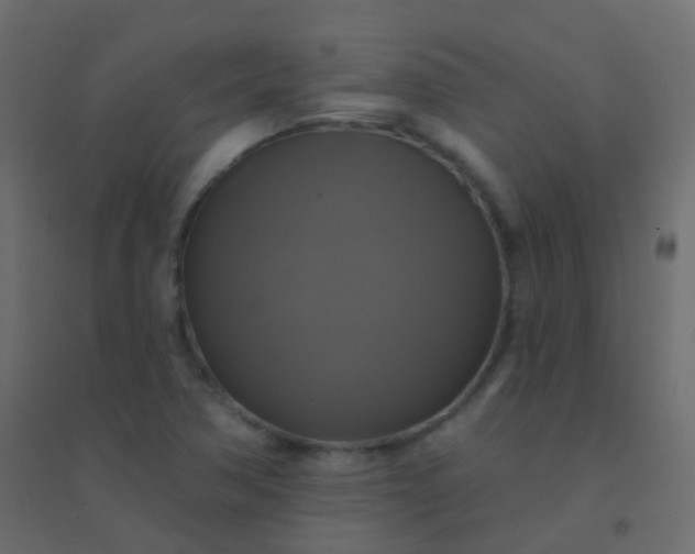 X0000094901362200712131421