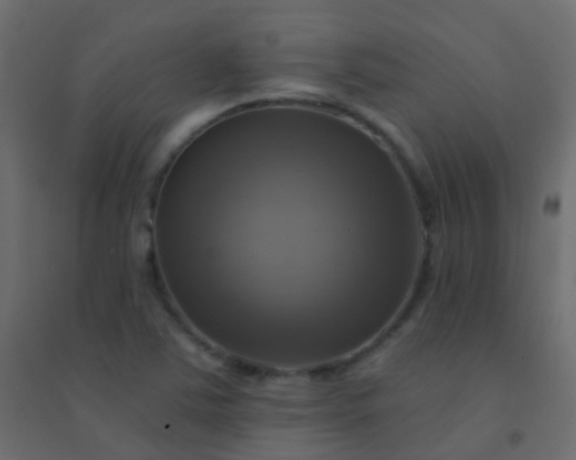 X0000094901363200712131421