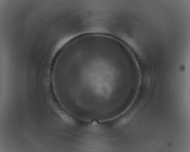 X0000094901364200712131421