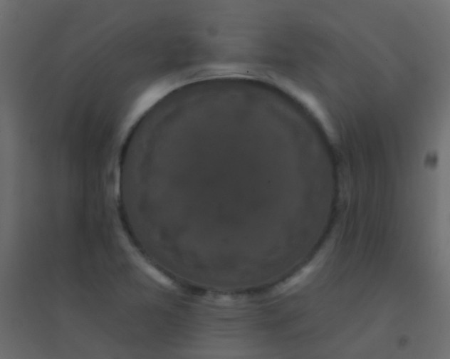 X0000094901365200712131421