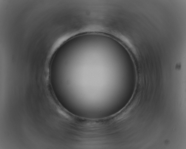 X0000094901366200712131421