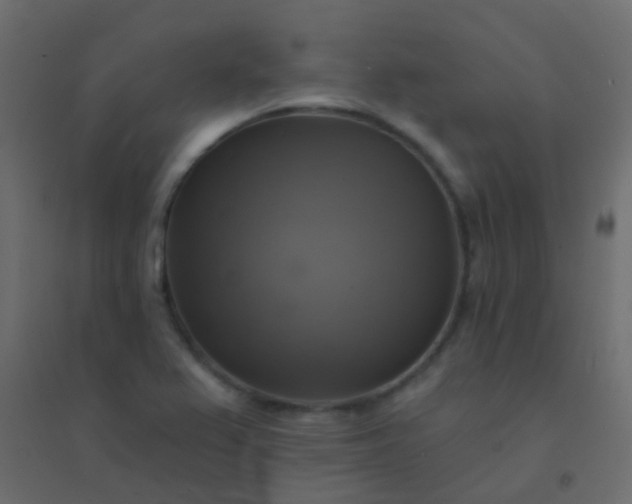 X0000094901367200712131421