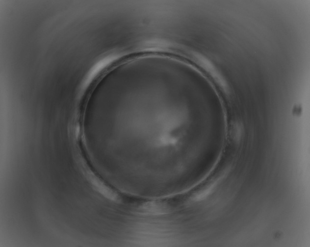 X0000094901368200712131421