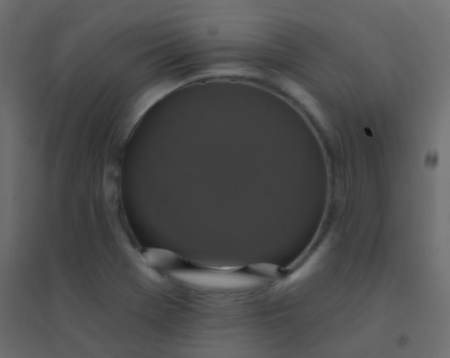 X0000094901369200712131421