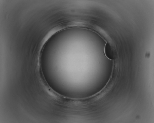 X0000094901370200712131421