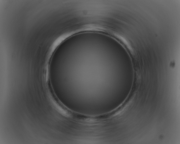 X0000094901371200712131421