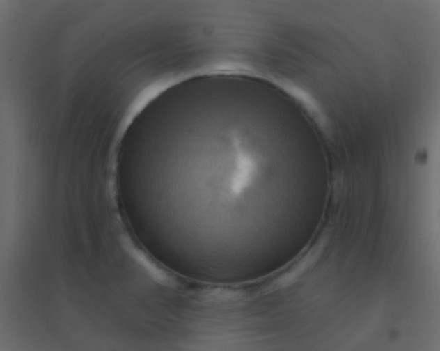 X0000094901374200712131421