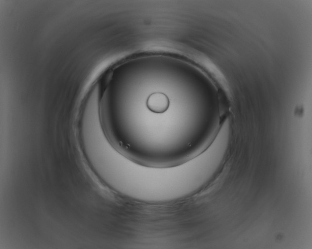 X0000094901376200712131421