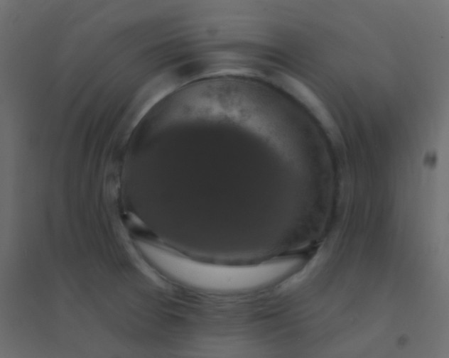 X0000094901377200712131421