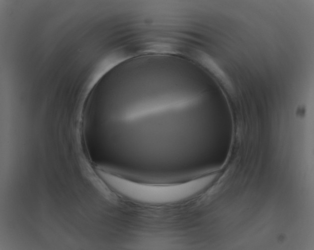 X0000094901378200712131421