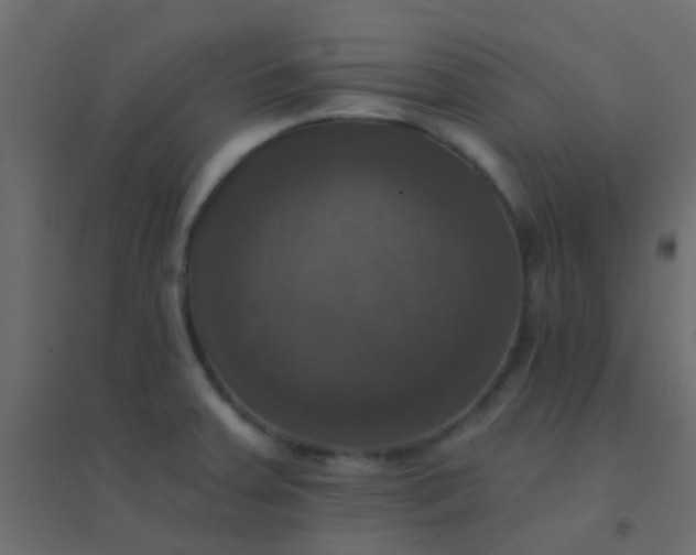 X0000094901379200712131421
