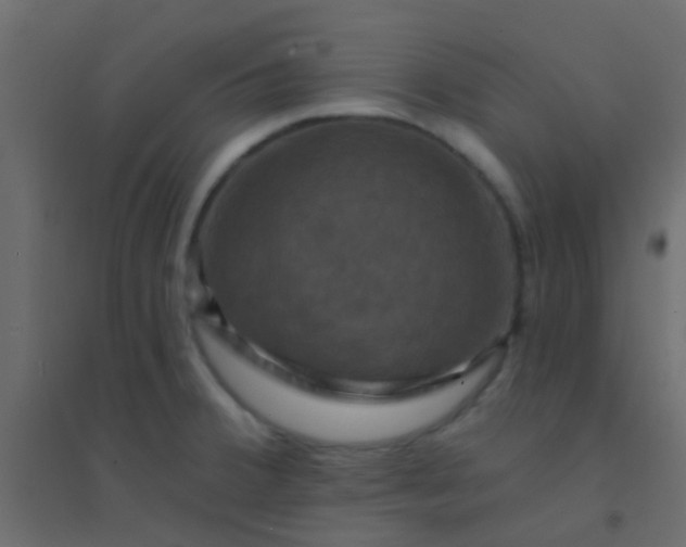 X0000094901380200712131421