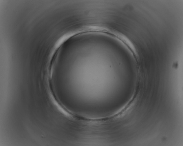 X0000094901381200712131421