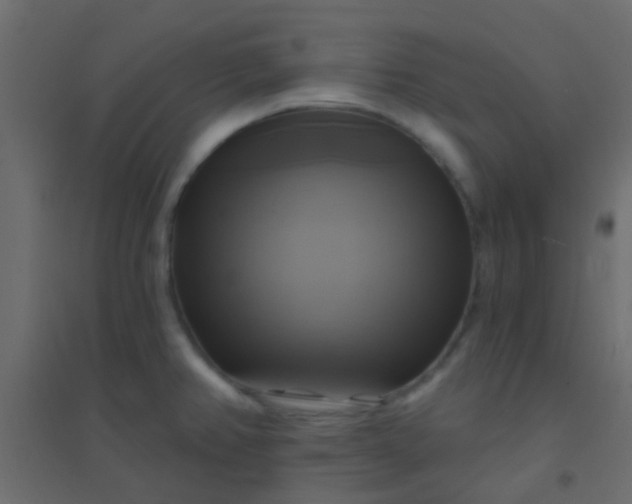 X0000094901382200712131421