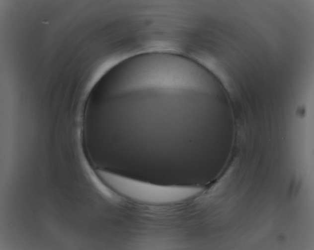X0000094901383200712131421