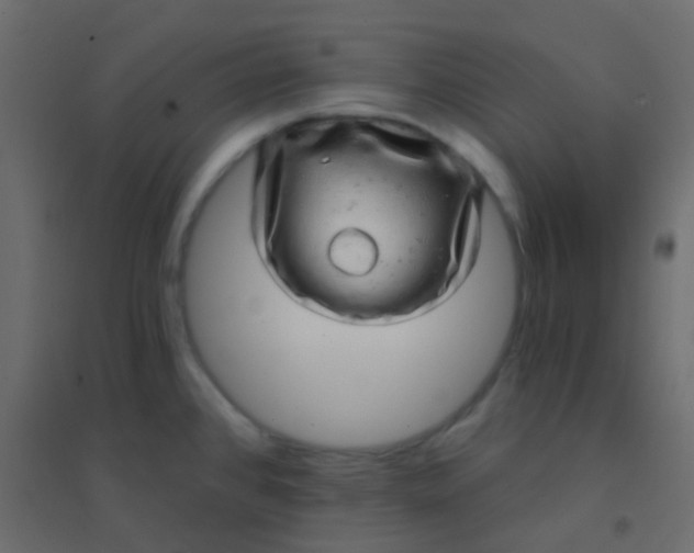X0000094901384200712131421
