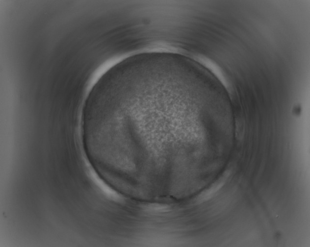 X0000094901387200712131421