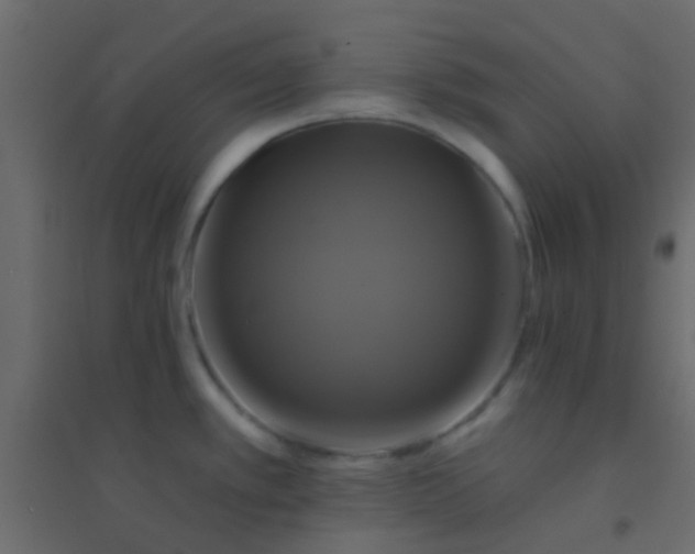 X0000094901389200712131421
