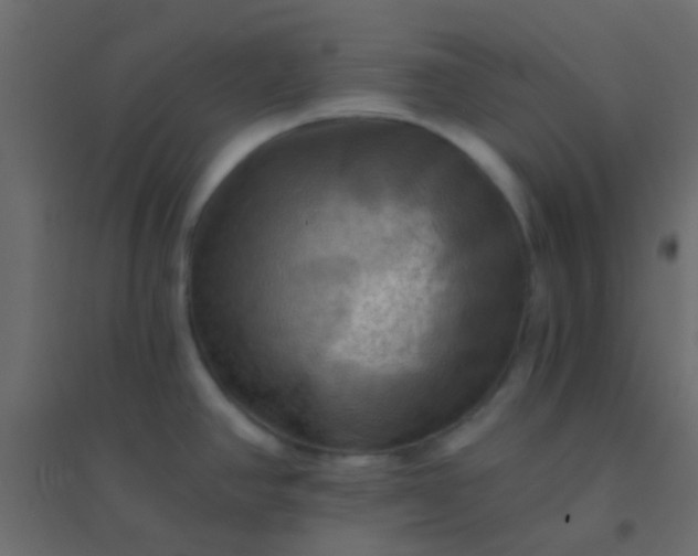 X0000094901390200712131421