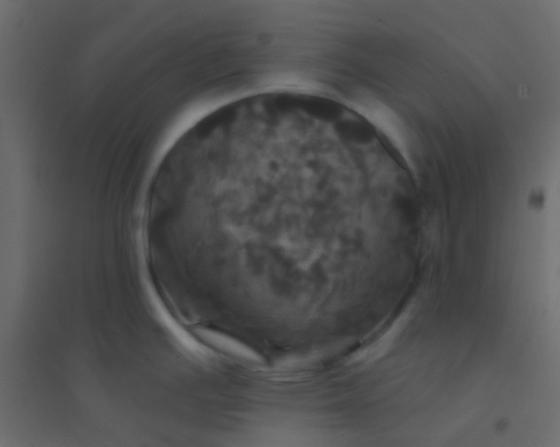 X0000094901391200712131421