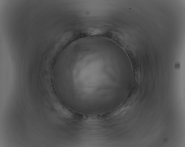 X0000094901393200712131420