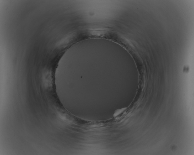 X0000094901394200712131420