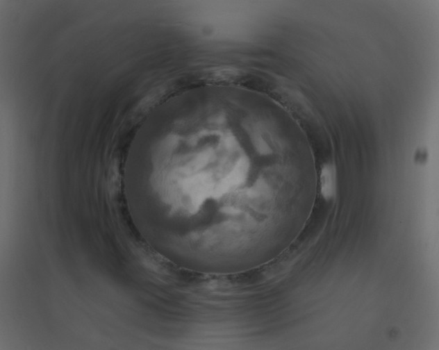 X0000094901395200712131420