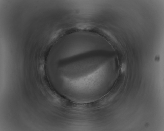 X0000094901396200712131420