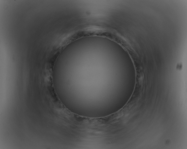 X0000094901397200712131420