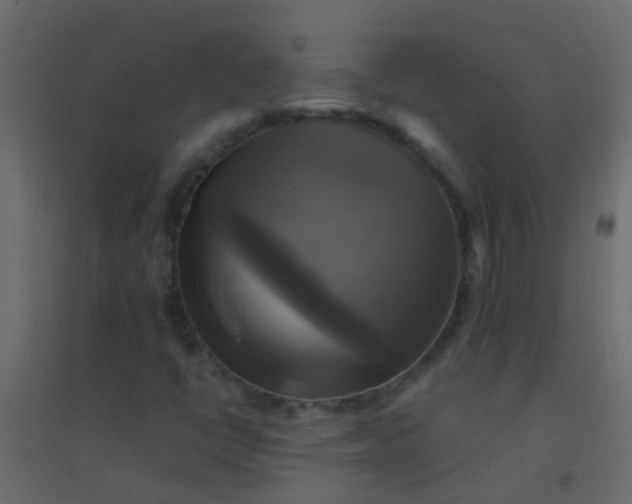 X0000094901398200712131420