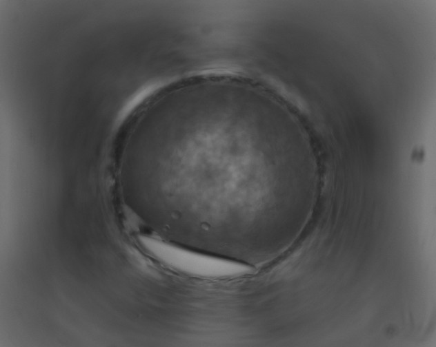 X0000094901400200712131420