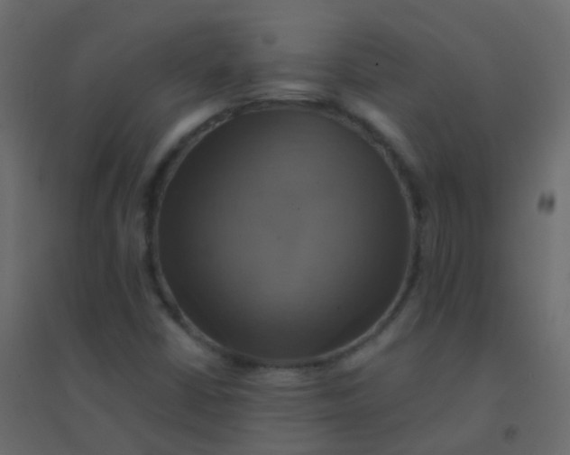 X0000094901402200712131420