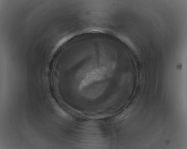 X0000094901404200712131420