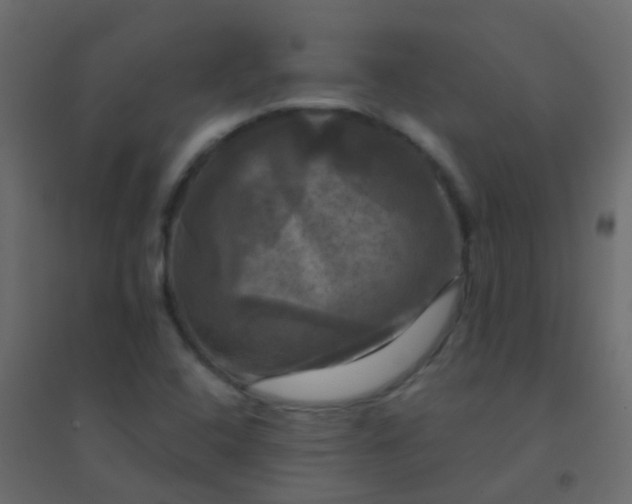 X0000094901408200712131420