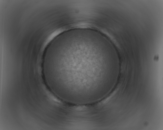 X0000094901410200712131420