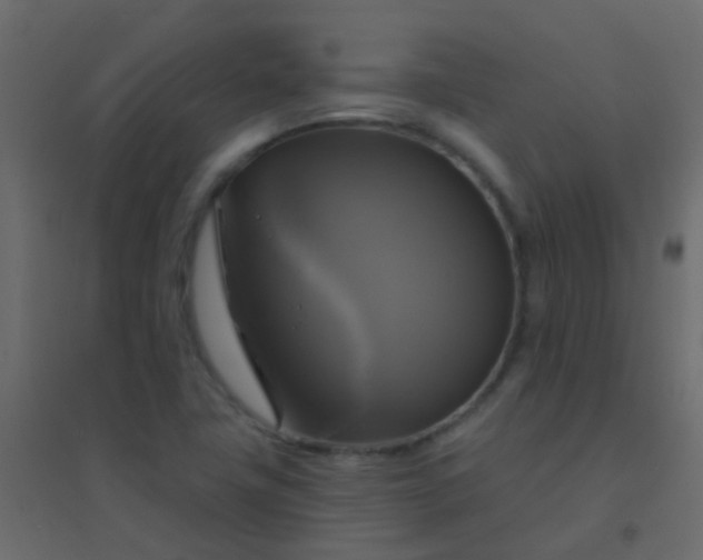 X0000094901411200712131420